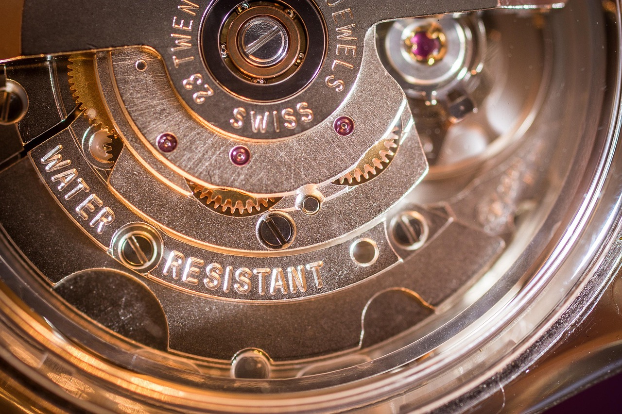 Watch movement macro openworked